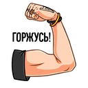 Samolepka