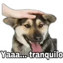 Figurinha