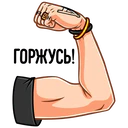Samolepka