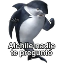 اسٹیکر