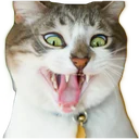 Стикер
