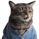 Стикер