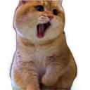 Стикер