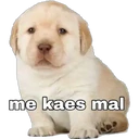 स्टिकर