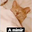 Stika