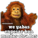 Samolepka