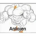 Stika