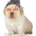 ਸਟਿਕਰ