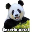Naklejka